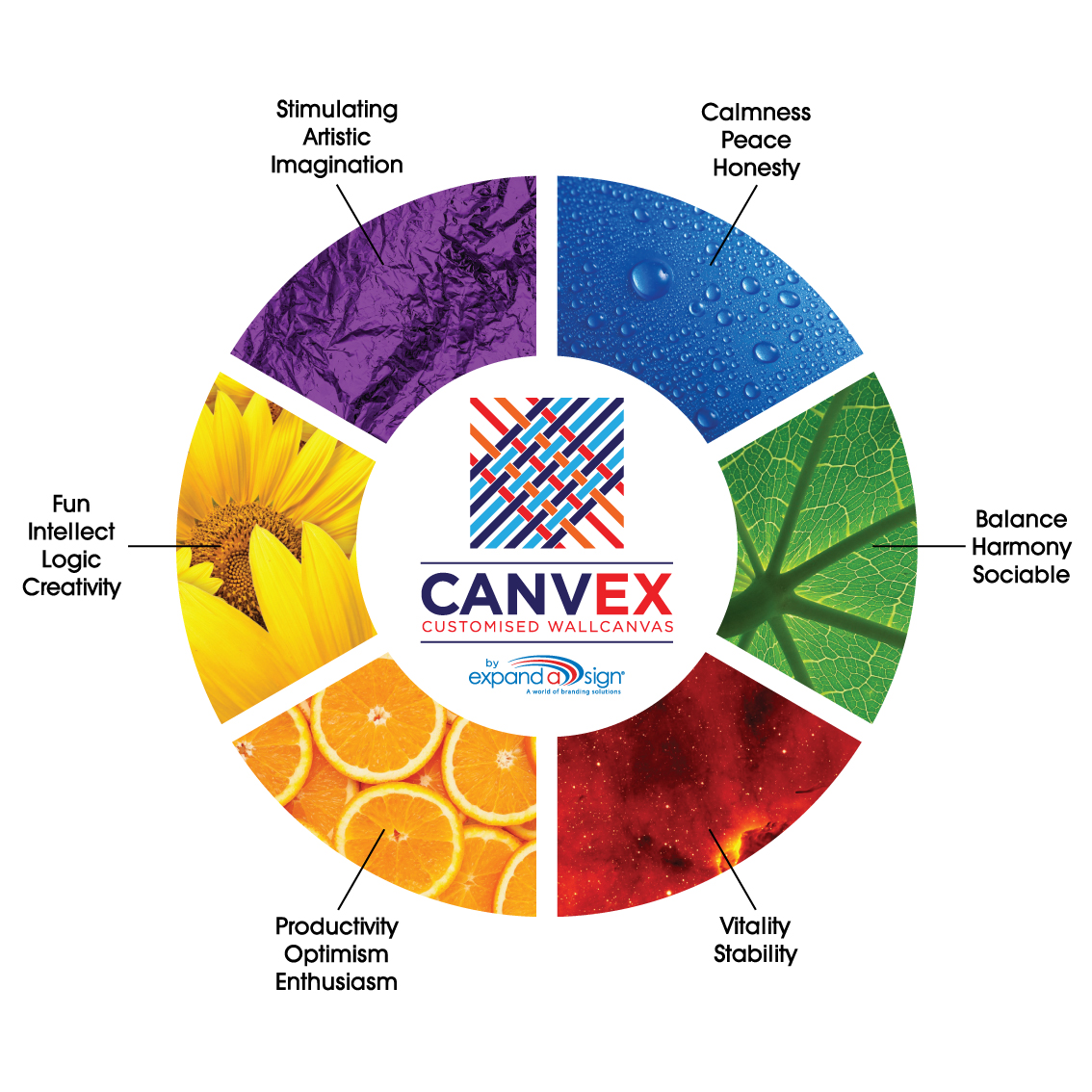 Canvex